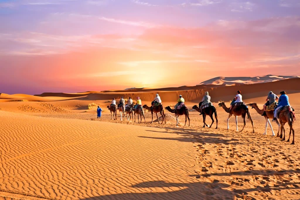 Casablanca to the Sahara: 10 Days of Private Morocco with a Local Guide tour image